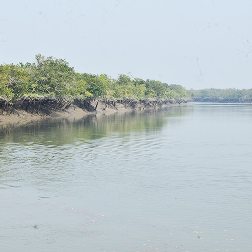 Sundarban