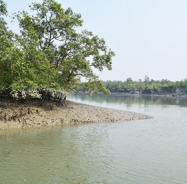 sundarban tour from canning